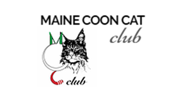 Maine coon cat Club 