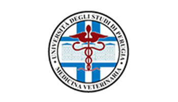 Università degli studi di Perugia Facoltà di Medicina Veterinaria